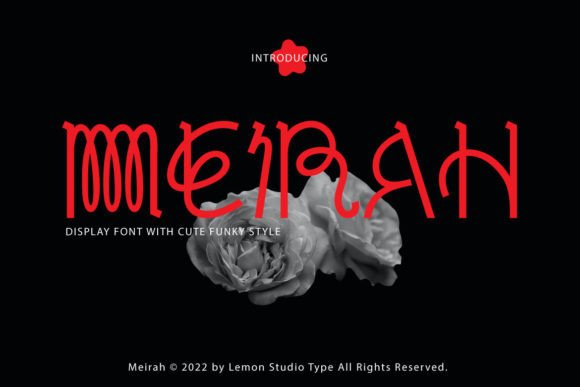 Meirah: A Display Font with Vintage Soul and Editorial Warmth