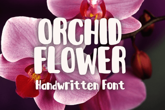 Orchid Flower: A Playful Handwritten Display Font for Makers