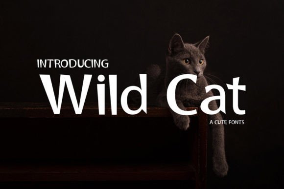 Wild Cat: A Display Font That Grabs Attention—Without Sacrificing Clarity